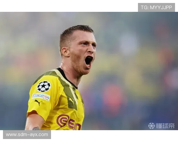 罗伊斯领衔,多特核心群驱动新赛季