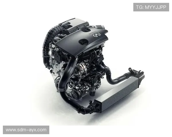 布兰特精准分球成进攻发动机